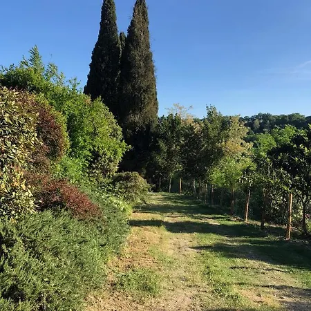 Apartment Tuscia Castle Roccalvecce